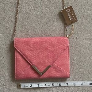 Francesca‘s metal tip envelope wallet